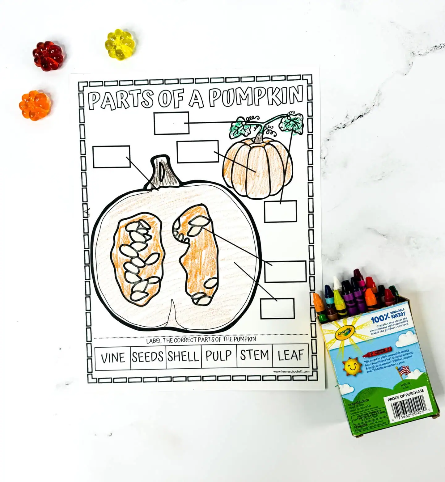 parts of a pumpkin coloring page