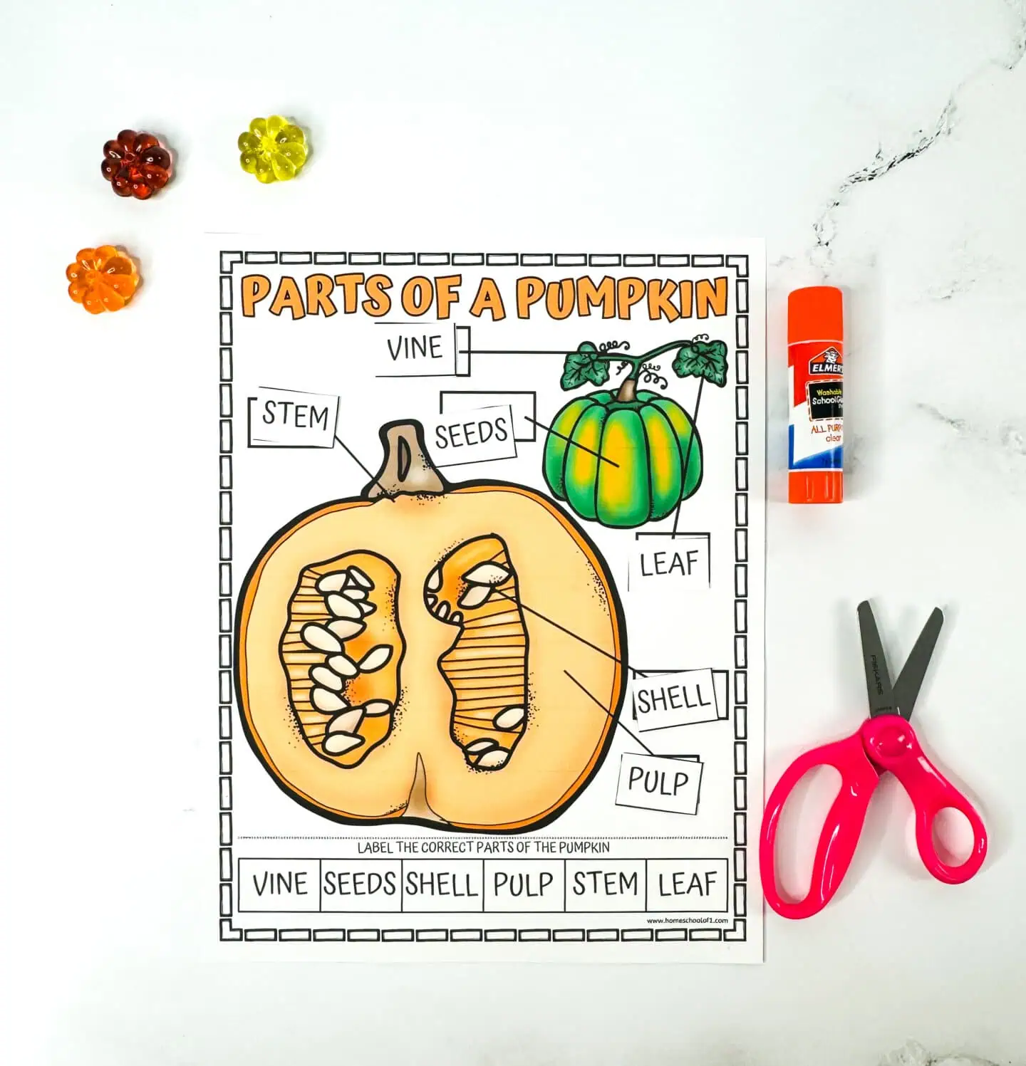 parts of a pumpkin printable worksheet