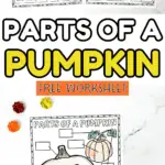 parts of a pumpkin worksheet