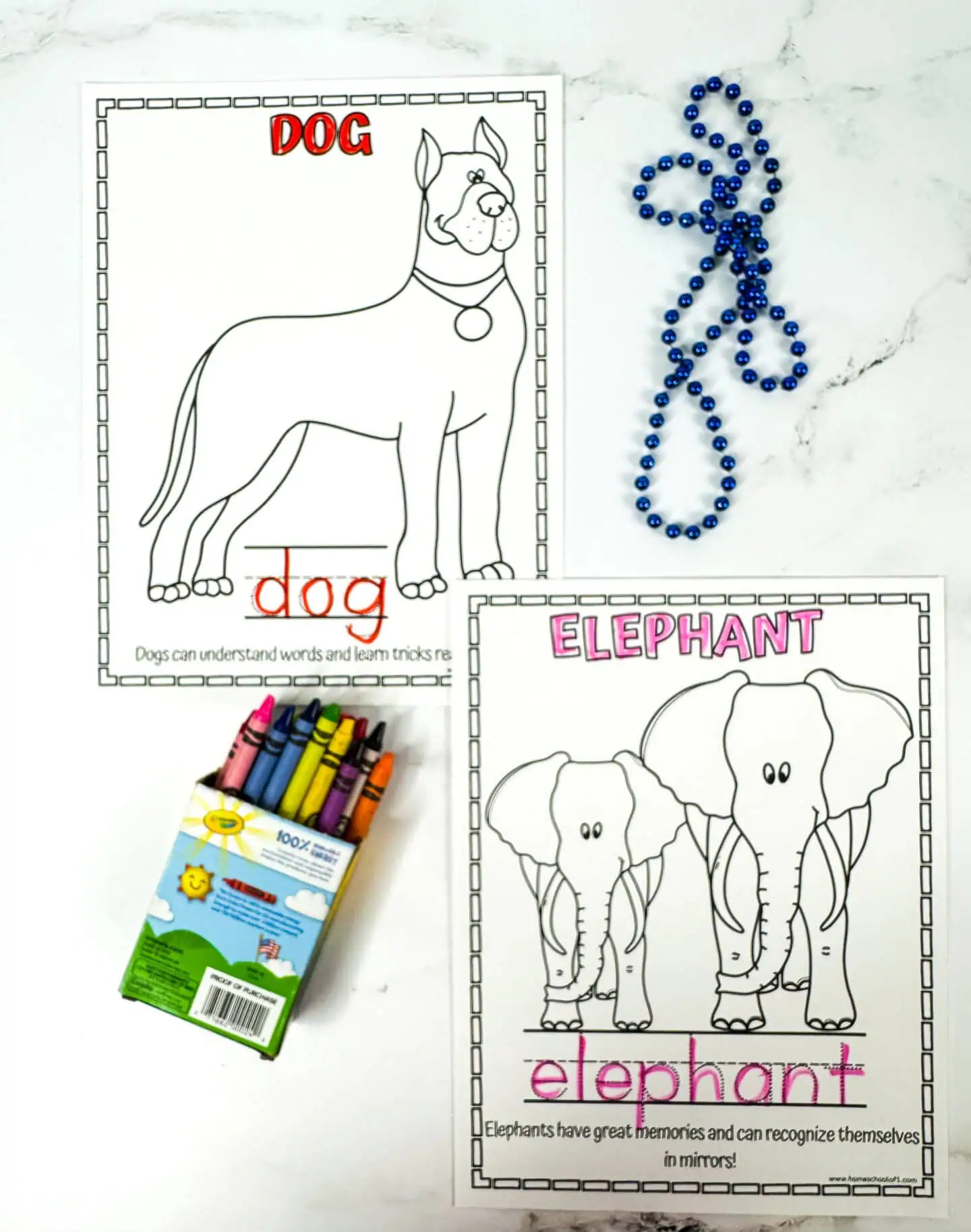 smart animals coloring pages