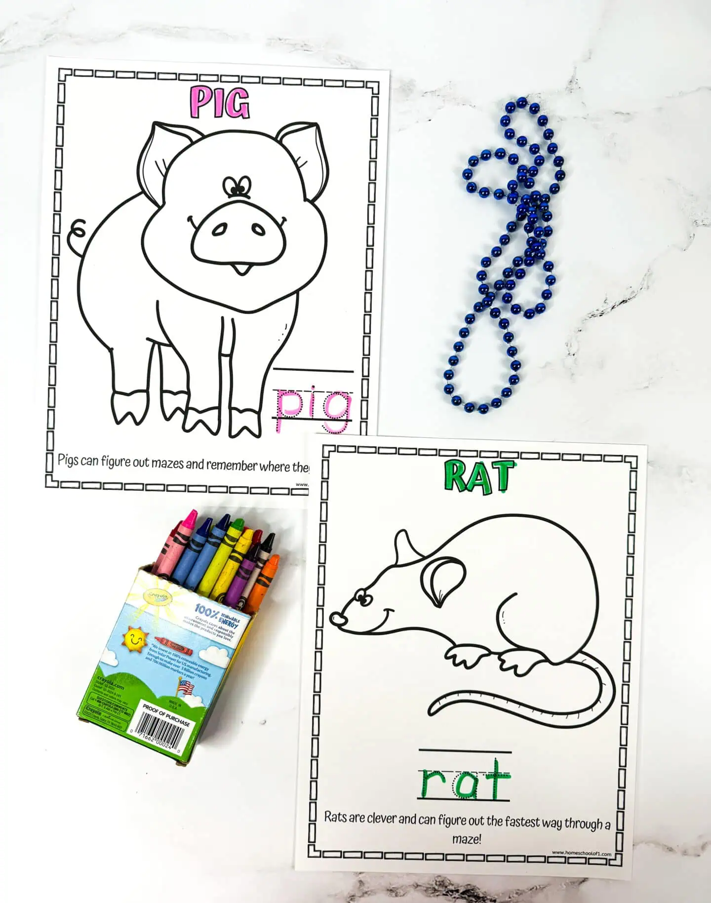 smart animals worksheet