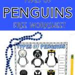 types of penguins worksheet