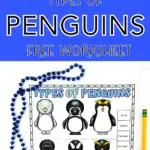 types of penguins worksheet