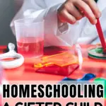 homeschooling a gifted child tips