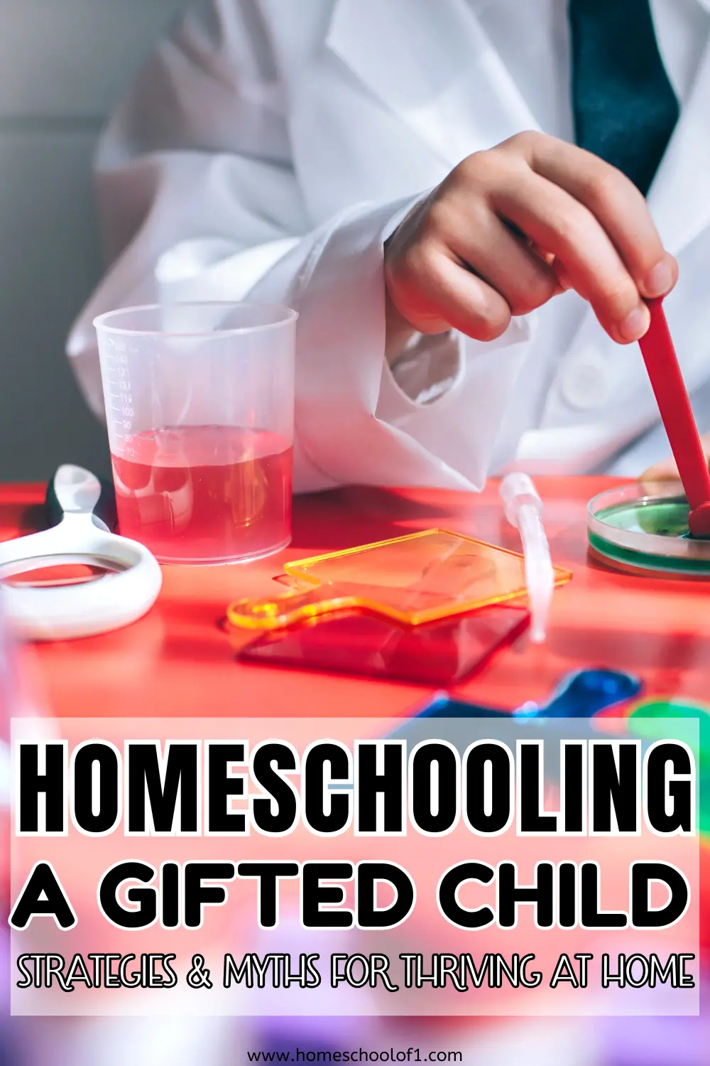 homeschooling a gifted child tips