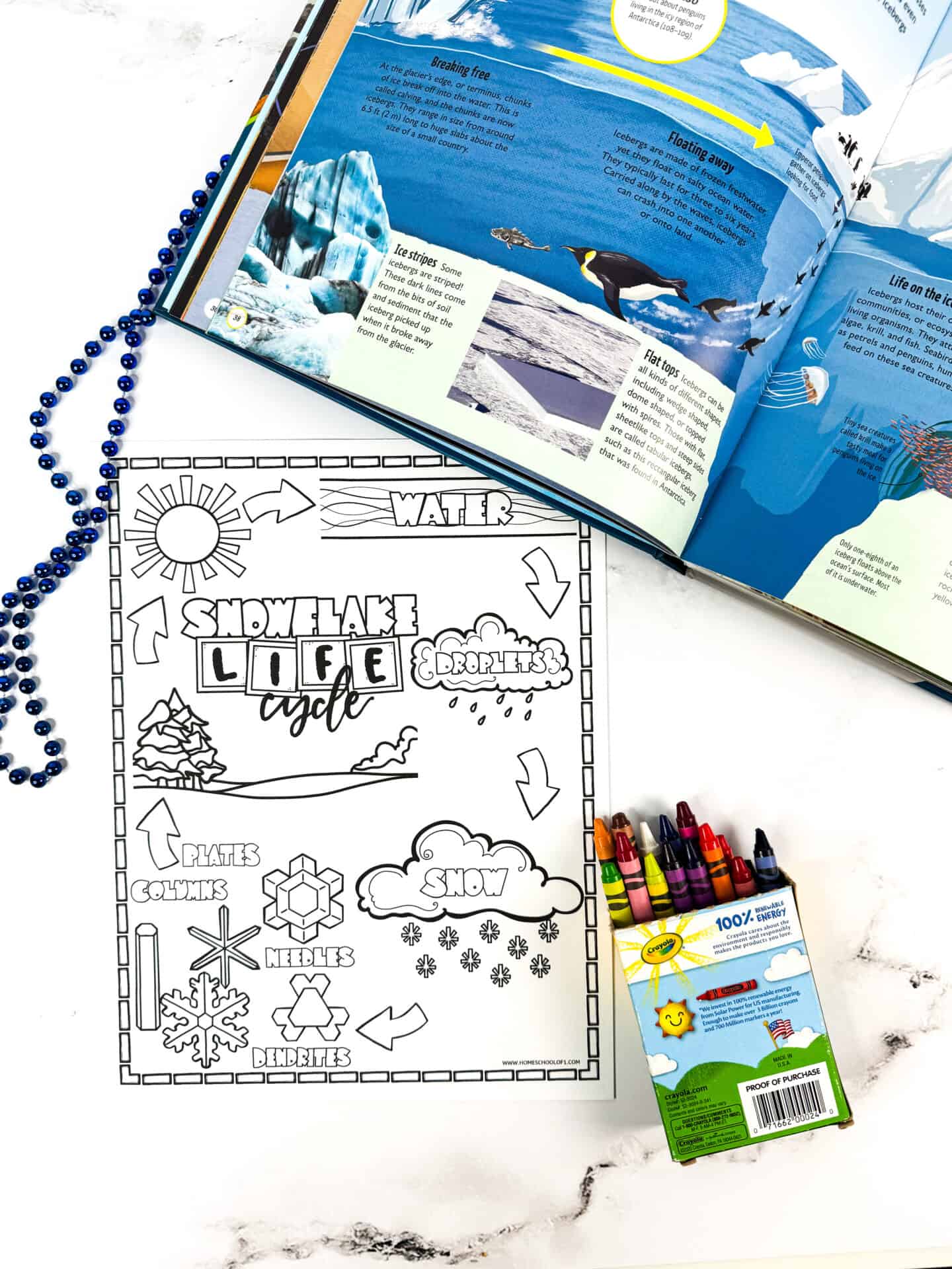 life cycle of a snowflake coloring page