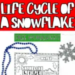 life cycle of a snowflake worksheet