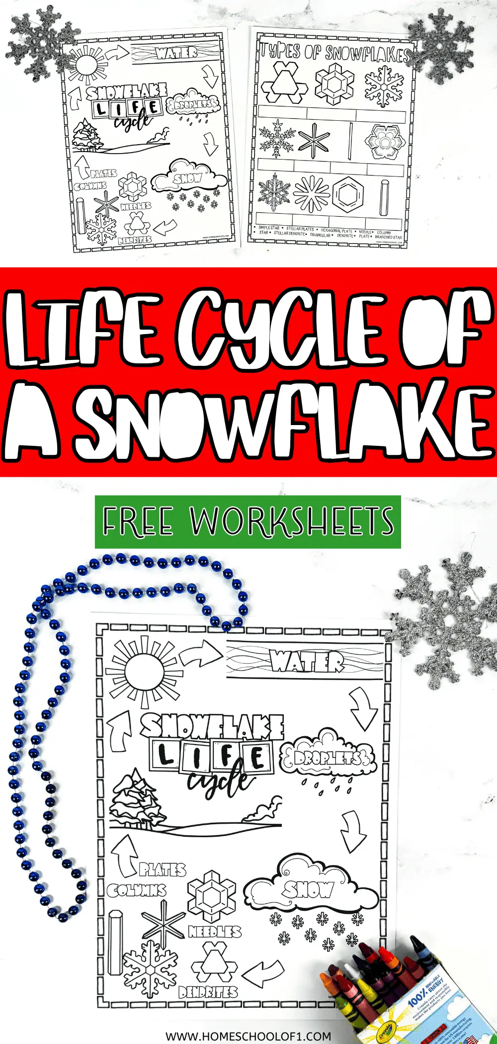 life cycle of a snowflake worksheet