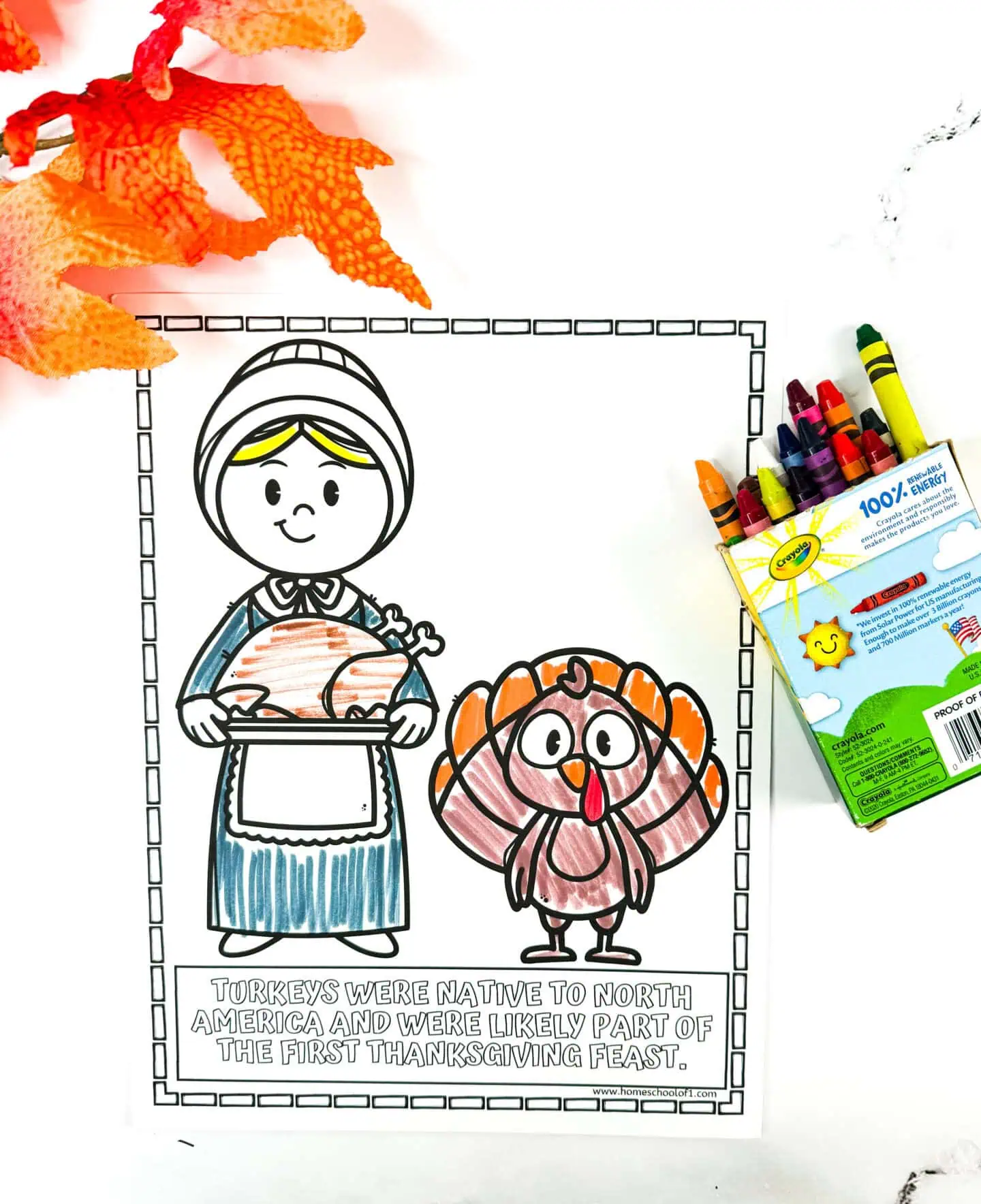 pilgrim coloring page