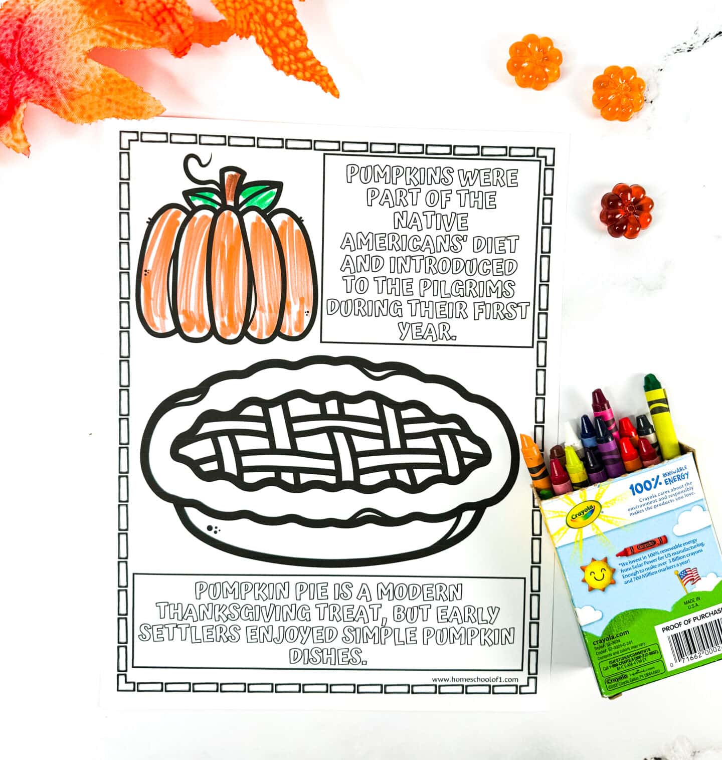 pumpkin pie coloring page