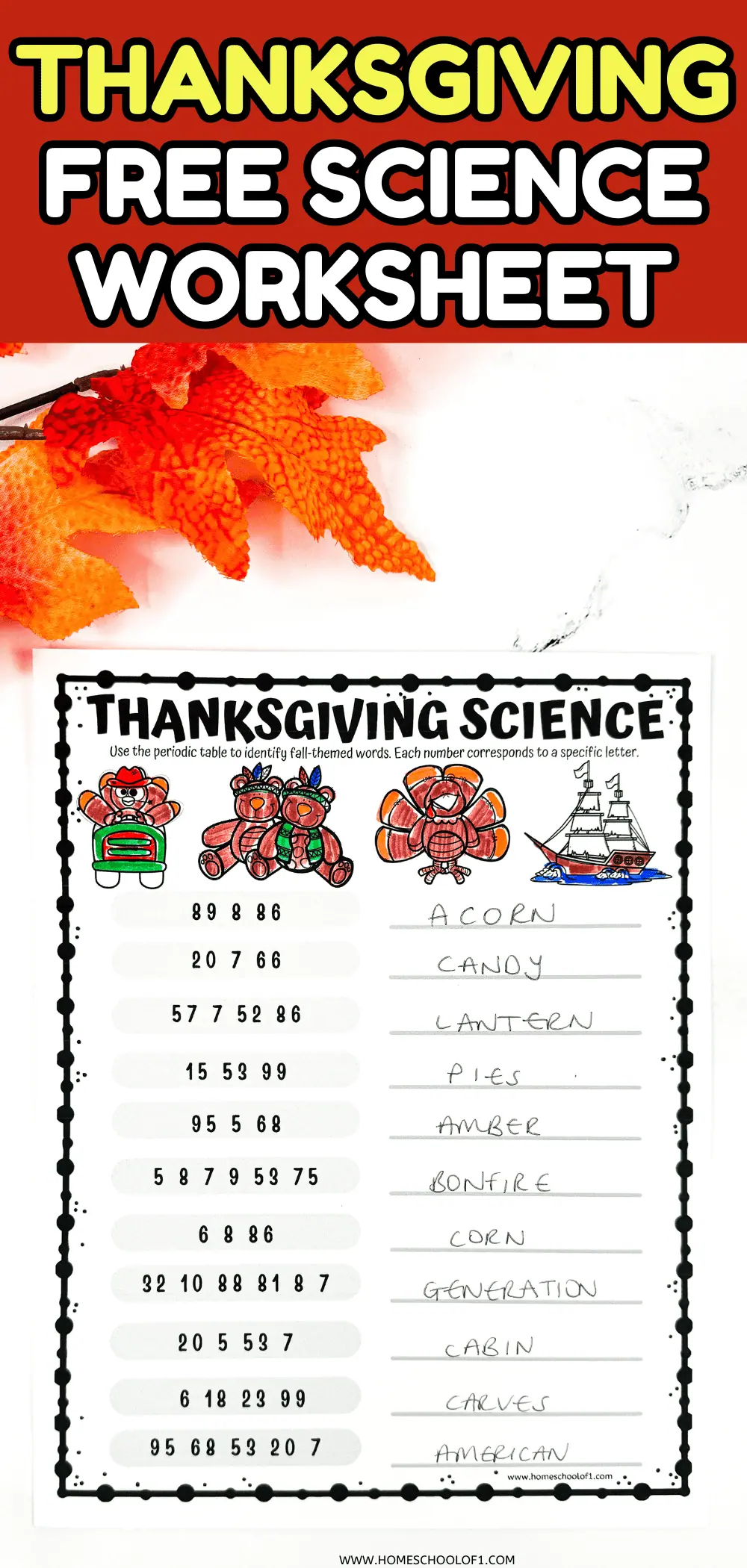 thanksgiving science worksheet