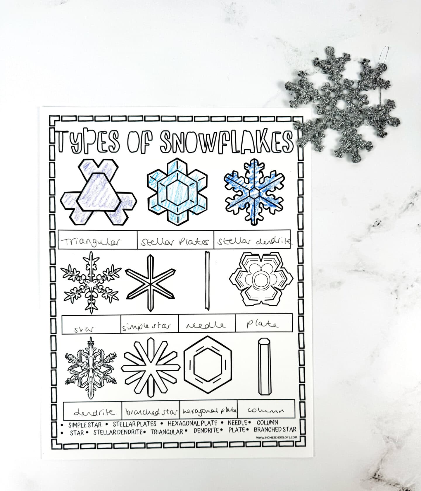 types of snowflakes worksheet