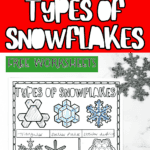 types of snowflakes worksheet