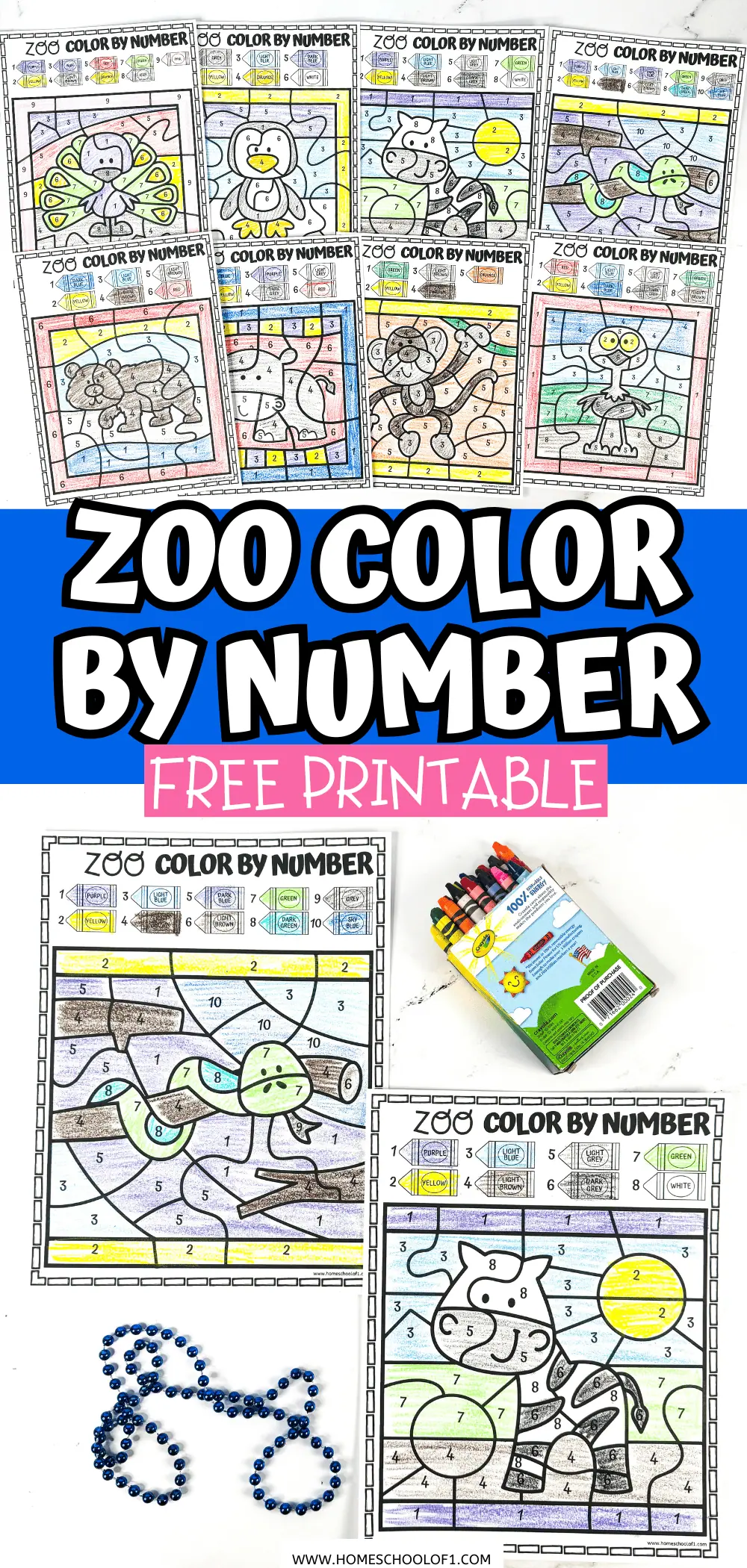 zoo color by number free printable