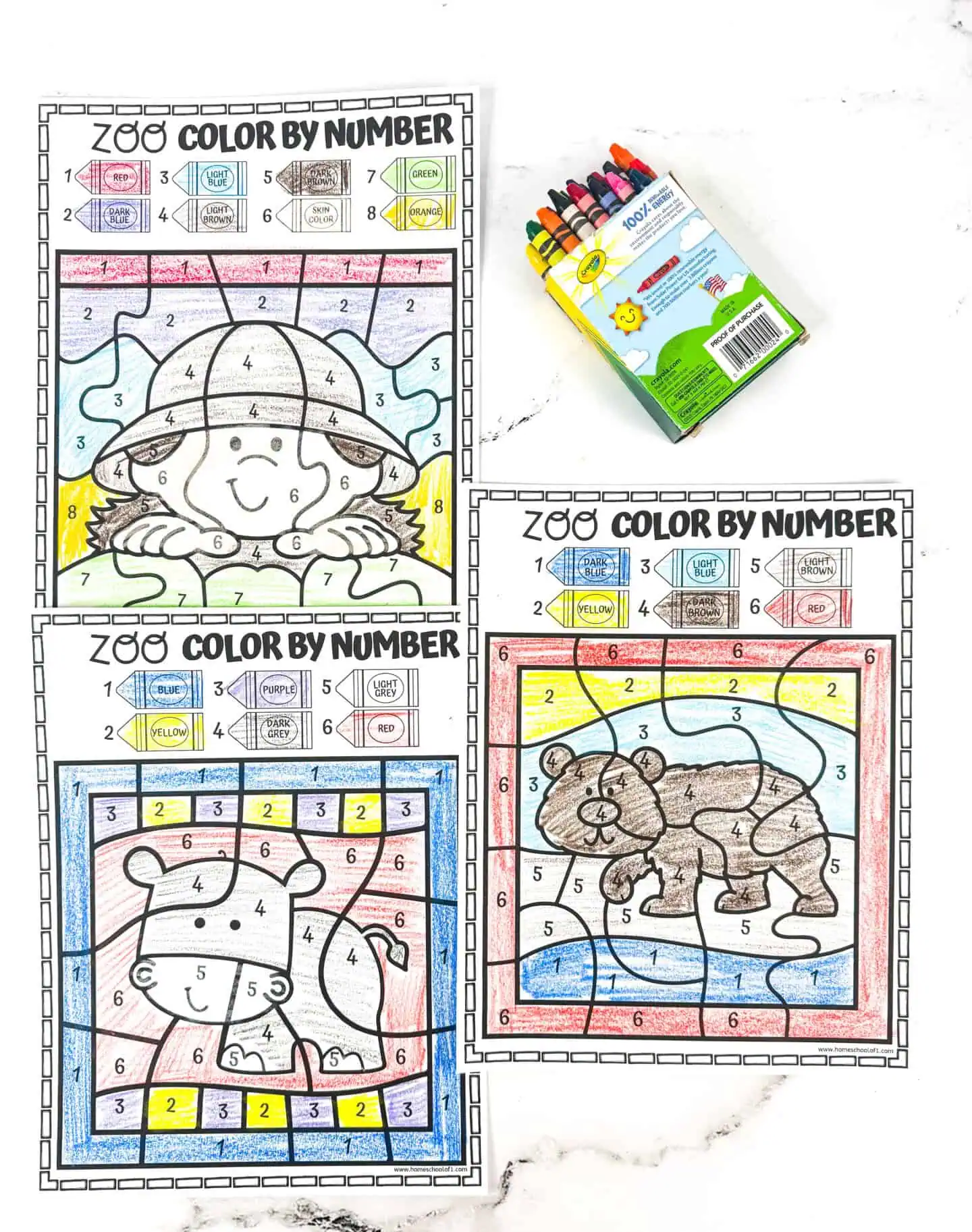 zookeeper hippo and bear color by number